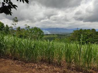 Propiedad con excelente ubicación en Pérez Zeledón Propiedad con excelente ubicación en Pérez Zeledón