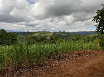 Propiedad con excelente ubicación en Pérez Zeledón Propiedad con excelente ubicación en Pérez Zeledón