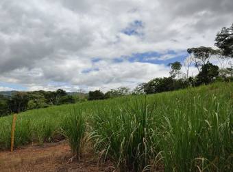 Propiedad con excelente ubicación en Pérez Zeledón Propiedad con excelente ubicación en Pérez Zeledón