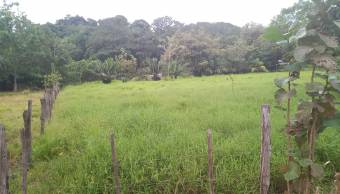 V#503 Gran Terreno en Venta en Nandayure/Guanacaste.