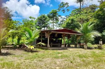 For Sale Farm in Guacimo, Limon, Costa Rica 14 Hectares  (34.59 Acres)