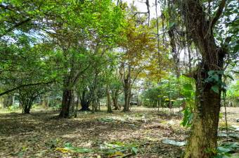 For Sale an ideal Investment Opportunity  in Matama, Limon