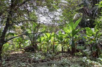 For Sale an ideal Investment Opportunity  in Matama, Limon