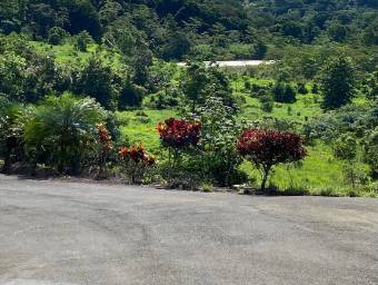 Lote en Venta en Quepos, Puntarenas. RAH 23-175