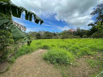 Lote en Venta en San Carlos, Alajuela. RAH 23-169