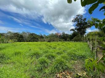 Lote en Venta en San Carlos, Alajuela. RAH 23-169