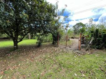 Lote en Venta en San Carlos, Alajuela. RAH 23-169