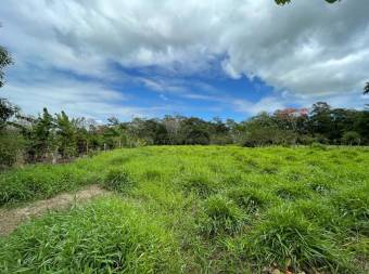 Lote en Venta en San Carlos, Alajuela. RAH 23-169