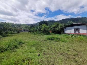 MLS-23-206 VENTA LOTE LA SUIZA TURRIALBA