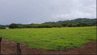 MLS-22-904 VENTA LOTE CARRILLO GUANACASTE 