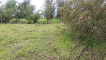 MLS-22-2081 VENTA LOTE SARAPIQUI HEREDIA