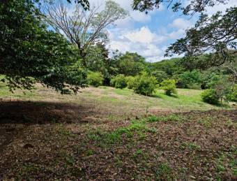 OPORTUNIDAD DE LOTES EN VENTA, SAN MATEO DE OROTINA