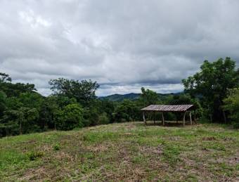 OPORTUNIDAD DE LOTES EN VENTA, SAN MATEO DE OROTINA