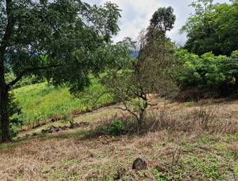 OPORTUNIDAD DE LOTES EN VENTA, SAN MATEO DE OROTINA