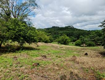 OPORTUNIDAD DE LOTES EN VENTA, SAN MATEO DE OROTINA