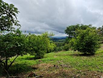 OPORTUNIDAD DE LOTES EN VENTA, SAN MATEO DE OROTINA