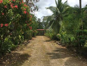3 farms for sale in Horquetas, Sarapiquí, Costa Rica TOGETHER or SEPARATELY