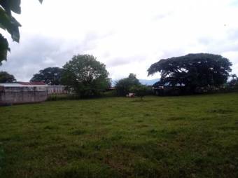 Inteligente Inversion en Excelente terreno Plano en Montecillo de Alajuela,  en  Venta           CG-