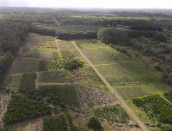 Inteligente Inversion en esta Hermosa Finca con 31 Hectareas Planas en la Roxana de Pococi, en  Vent