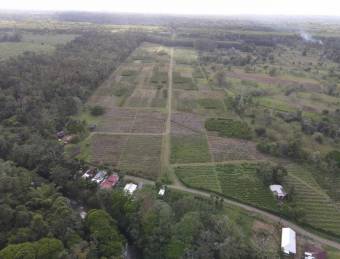 Inteligente Inversion en esta Hermosa Finca con 31 Hectareas Planas en la Roxana de Pococi, en  Vent