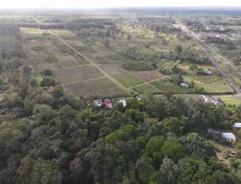 Inteligente Inversion en esta Hermosa Finca con 31 Hectareas Planas en la Roxana de Pococi, en  Vent