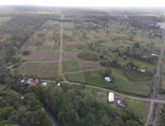 Inteligente Inversion en esta Hermosa Finca con 31 Hectareas Planas en la Roxana de Pococi, en  Vent