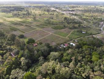 Inteligente Inversion en esta Hermosa Finca con 31 Hectareas Planas en la Roxana de Pococi, en  Vent