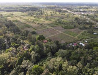 Inteligente Inversion en esta Hermosa Finca con 31 Hectareas Planas en la Roxana de Pococi, en  Vent