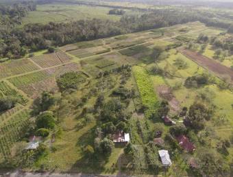 Inteligente Inversion en esta Hermosa Finca con 31 Hectareas Planas en la Roxana de Pococi, en  Vent