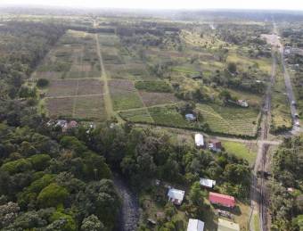 Inteligente Inversion en esta Hermosa Finca con 31 Hectareas Planas en la Roxana de Pococi, en  Vent