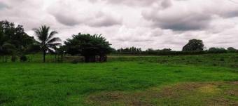 Inteligente Inversion en esta Hermosa Finca con 31 Hectareas Planas en la Roxana de Pococi, en  Vent