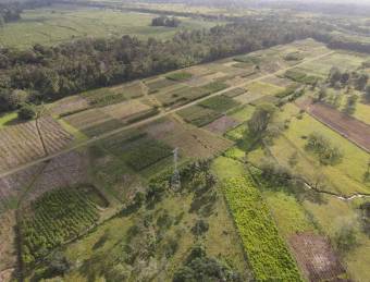 Inteligente Inversion en esta Hermosa Finca con 31 Hectareas Planas en la Roxana de Pococi, en  Vent