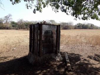 Inteligente Inversion en esta Finca Ganadera en San Blas de Guanacaste, En Venta CG-20-827