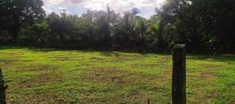 Excelente terreno con 324Mts2 en Buenos Aires de Guapiles, En Venta        CG-22-2444