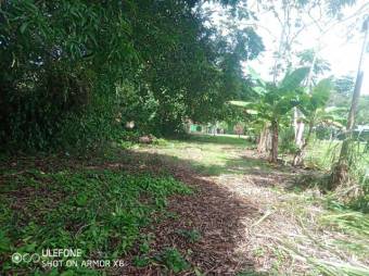 MLS-23-115 VENTA LOTE QUEPOS PUNTARENAS 