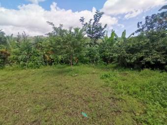 MLS-23-206 VENTA LOTE LA SUIZA TURRIALBA