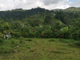 MLS-23-206 VENTA LOTE LA SUIZA TURRIALBA