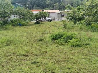 MLS-23-206 VENTA LOTE LA SUIZA TURRIALBA