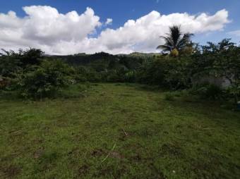 MLS-23-206 VENTA LOTE LA SUIZA TURRIALBA