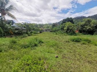 MLS-23-206 VENTA LOTE LA SUIZA TURRIALBA