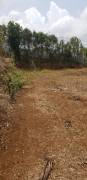 PALMARES, ALAJUELA, COSTA RICA, TERRENO, LOTE EN VENTA, PROYECTO