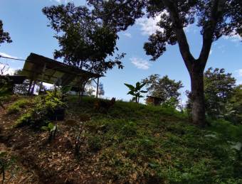 Se vende Terreno con Casa 