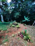 Se vende Terreno con Casa 