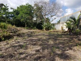 Excelente terreno en Palma Dorada de Guapiles, En Venta        CG-21-1536