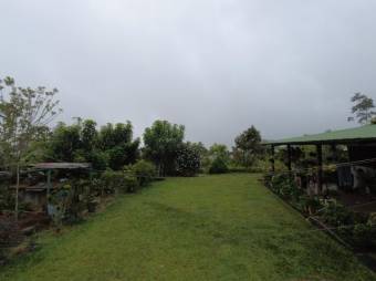 MLS-23-2557 VENTA CASA PAVONES TURRIALBA