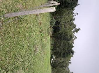 Elige un estilo de Vida Distinto Finca Regenerativa las Cumbres