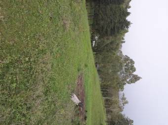 Elige un estilo de Vida Distinto Finca Regenerativa las Cumbres