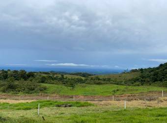 VENTA LOTE EN SAN JUAN, CIUDAD QUESADA