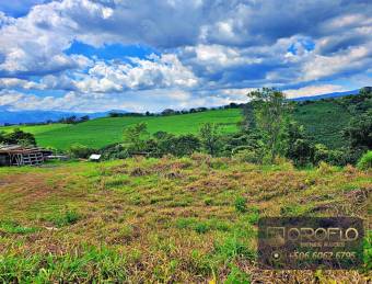 LOTE EN VENTA EN GRECIA, ALAJUELA #20302sc