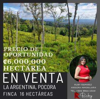 En Venta 16 Hectáreas, La Argentina, Pocora